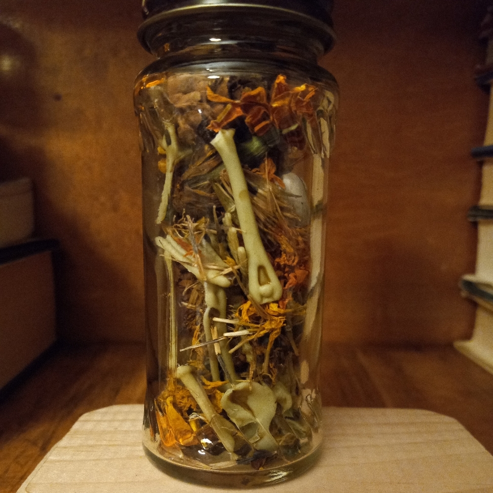 Skeletal specimen jars, set of 3, handmade - Picture 13 of 16